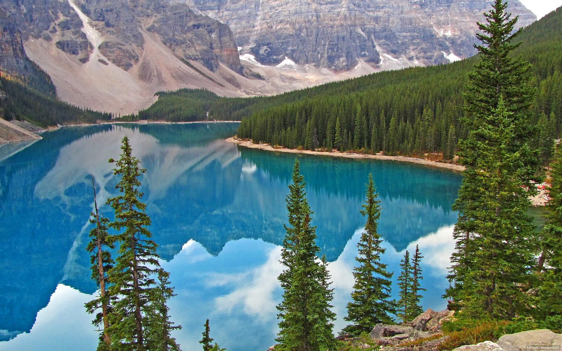 两重门，卫冕者血战黄蜂，新纪元于数据深渊觉醒