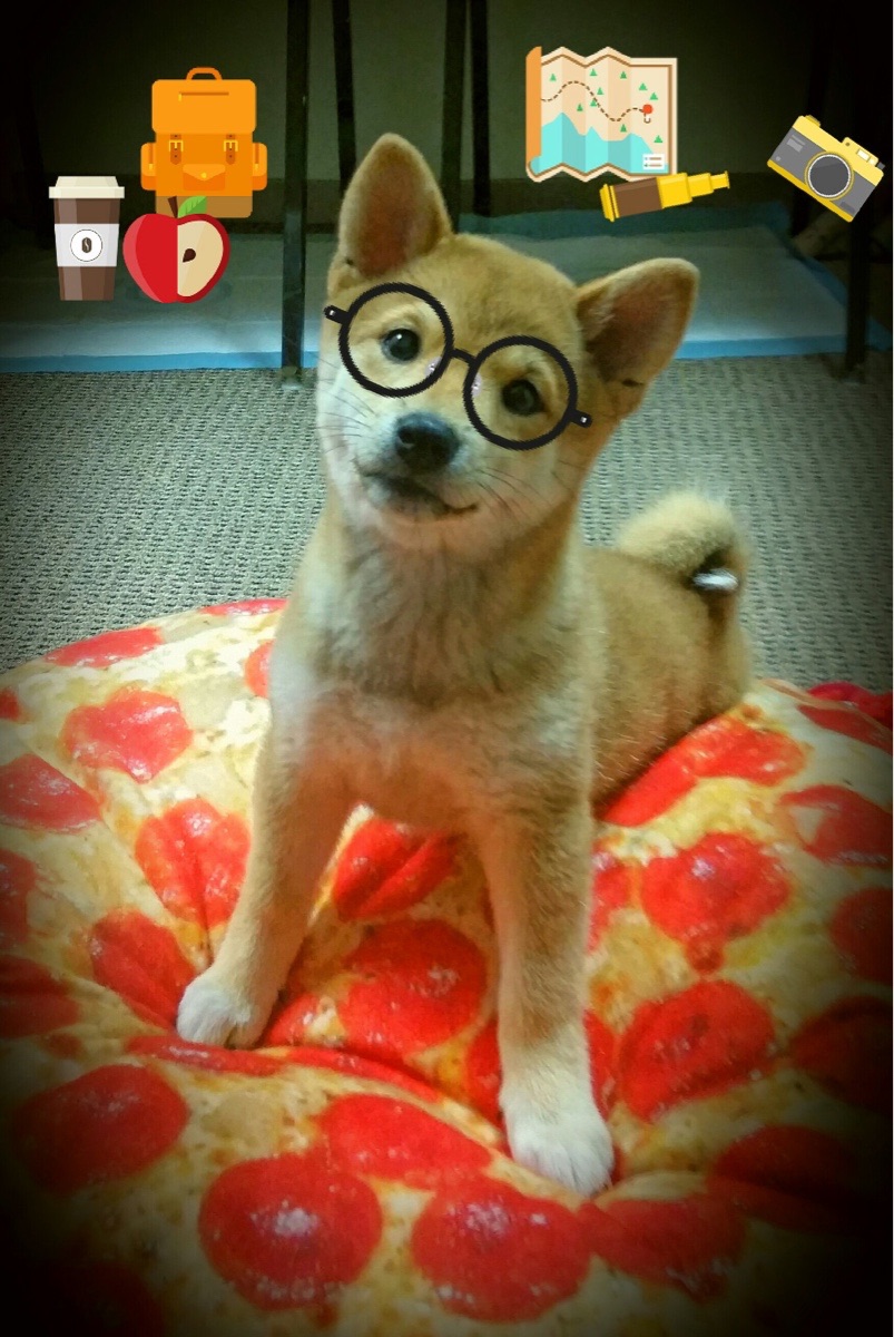 冰封烈焰，一场世界排名争夺战中的极寒收割