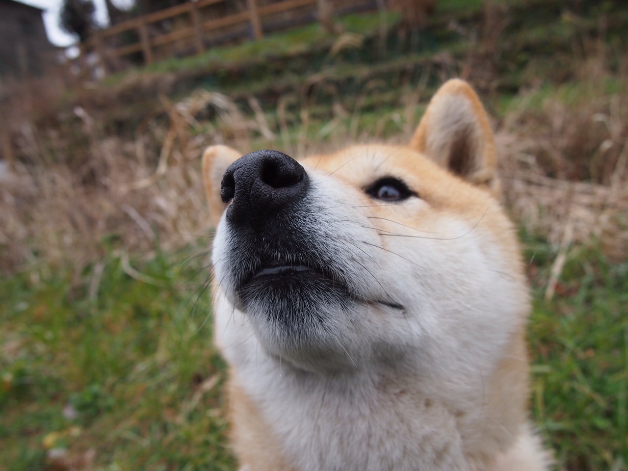 征服者的双重奏,当恩比德在平行时空中同时接管比赛