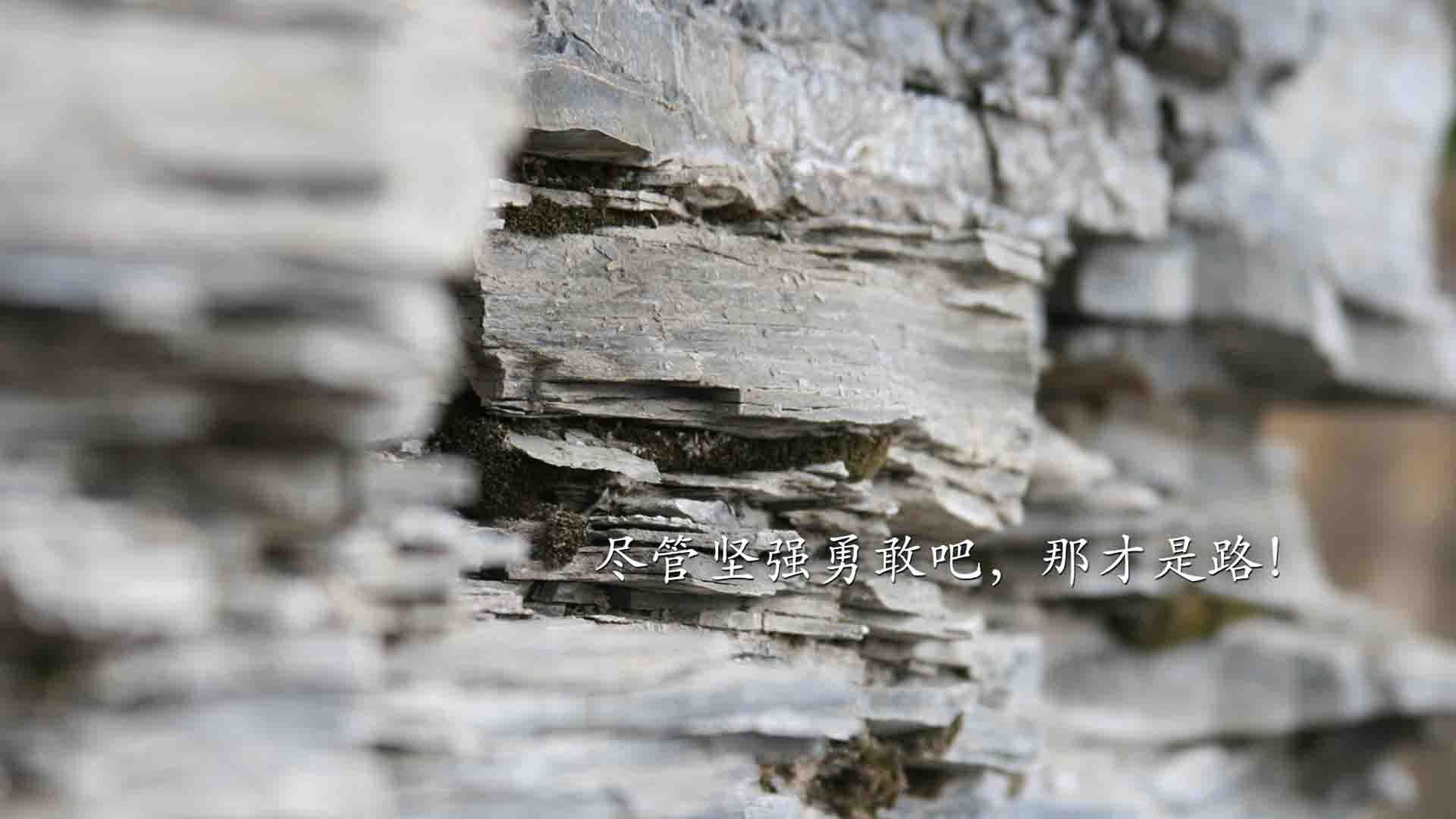 防守崩塌!热火为何败走克利夫兰?莫兰特一球成关键先生