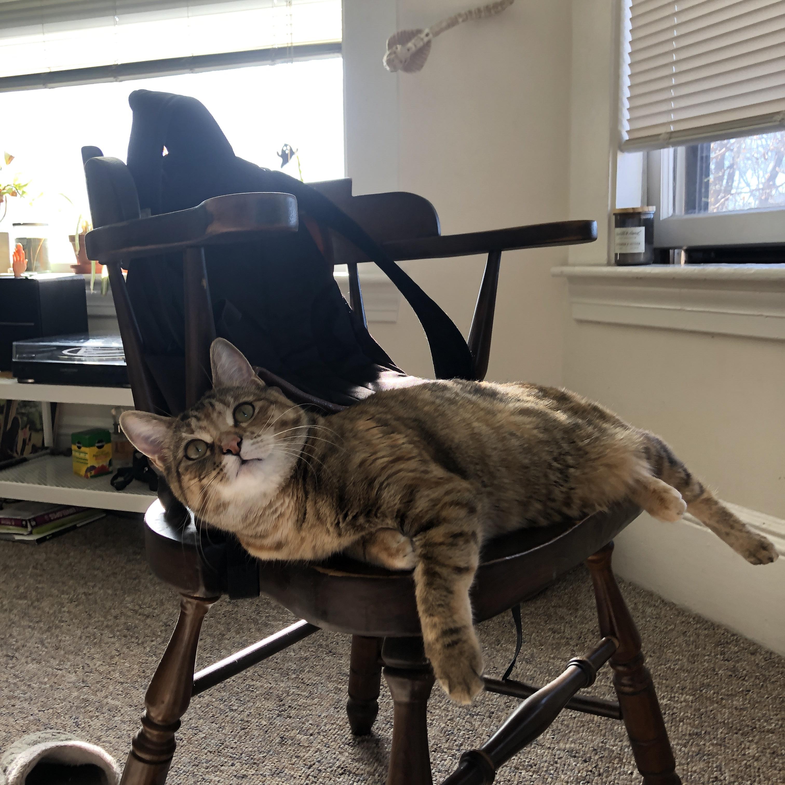 足球地图上消失的小镇，与一位赛后评分拉满的铁卫，当芬兰遇上多特蒙德，布雷默定义了何谓一夫当关