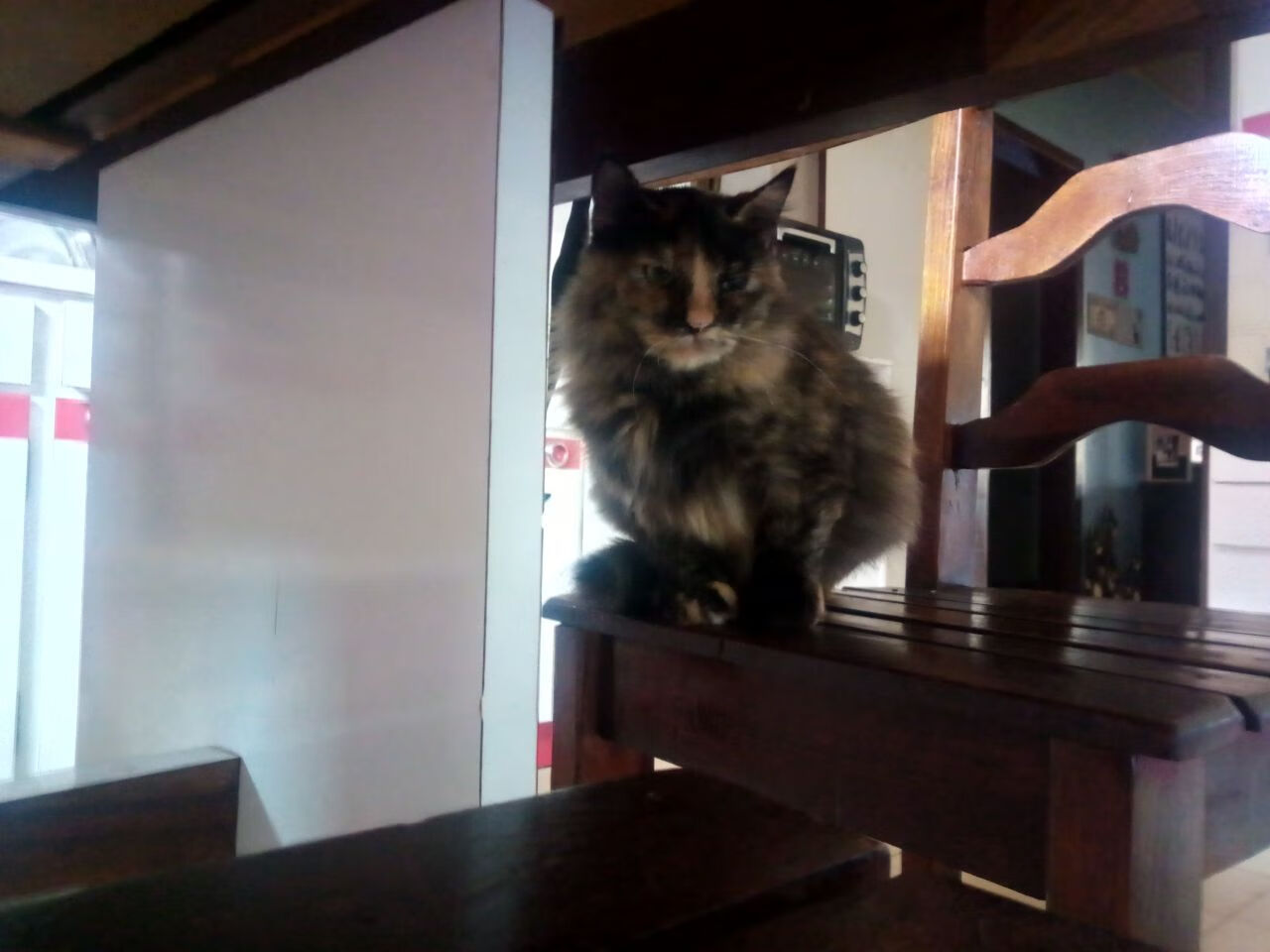 我等的船还不来？不，是范乔丹和太阳正在接管比赛！