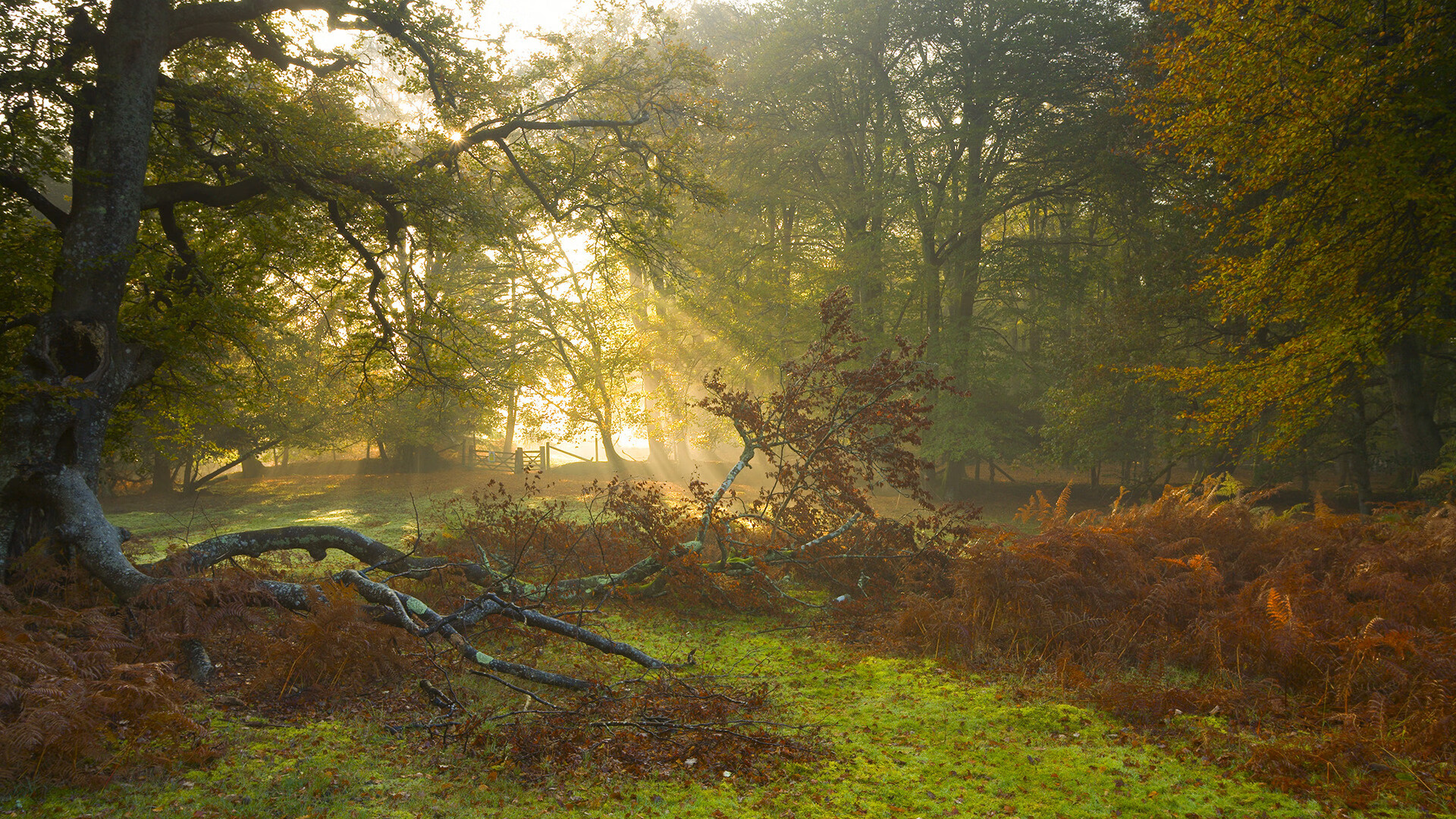 锋刃斩碎独舞，76人铁血防守破解独行侠明星单打方程式