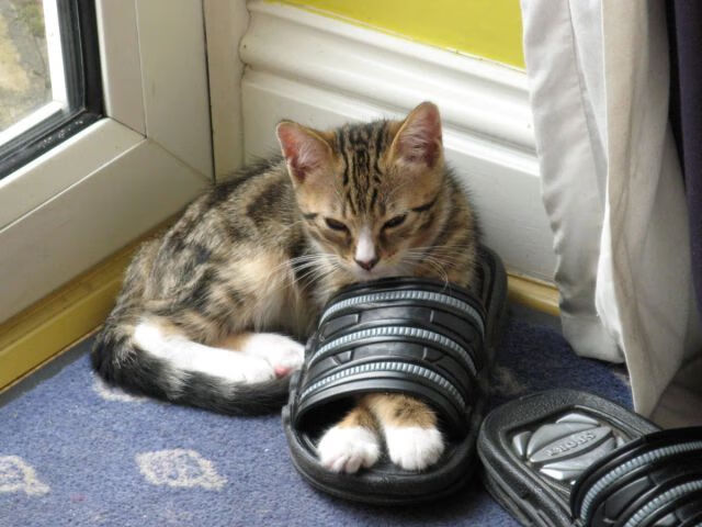 北伦敦的东方壁垒，富安健洋生涯之夜，如何让土耳其的狂攻化为叹息