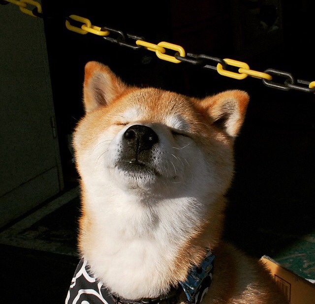 开云体育官网-慈善赛巨星闪耀，福登在法国对阵南非联队中展现无可替代的价值