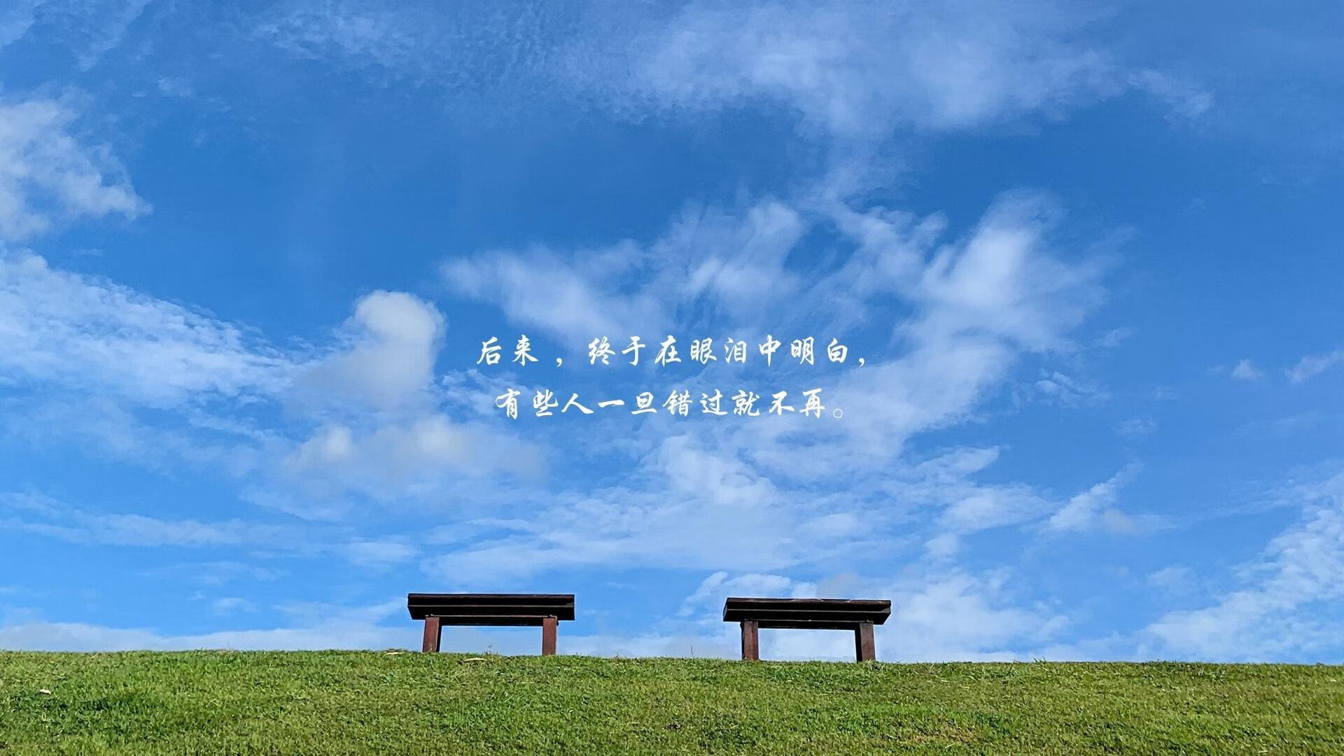 北境铁幕下的秩序革命,当平民瑞典用古典中场哲学击溃明星比利时