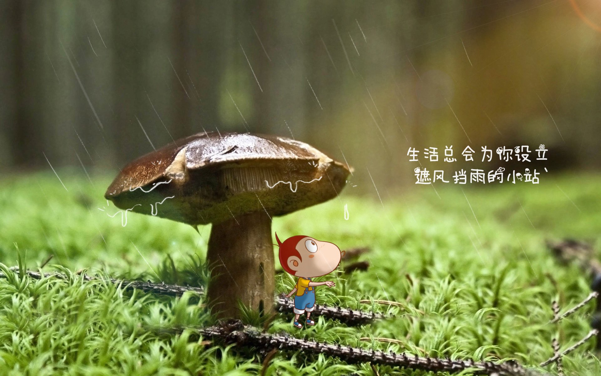蓝白色的圆舞曲,哈基米的致命一击与哥伦比亚足球的极致美学