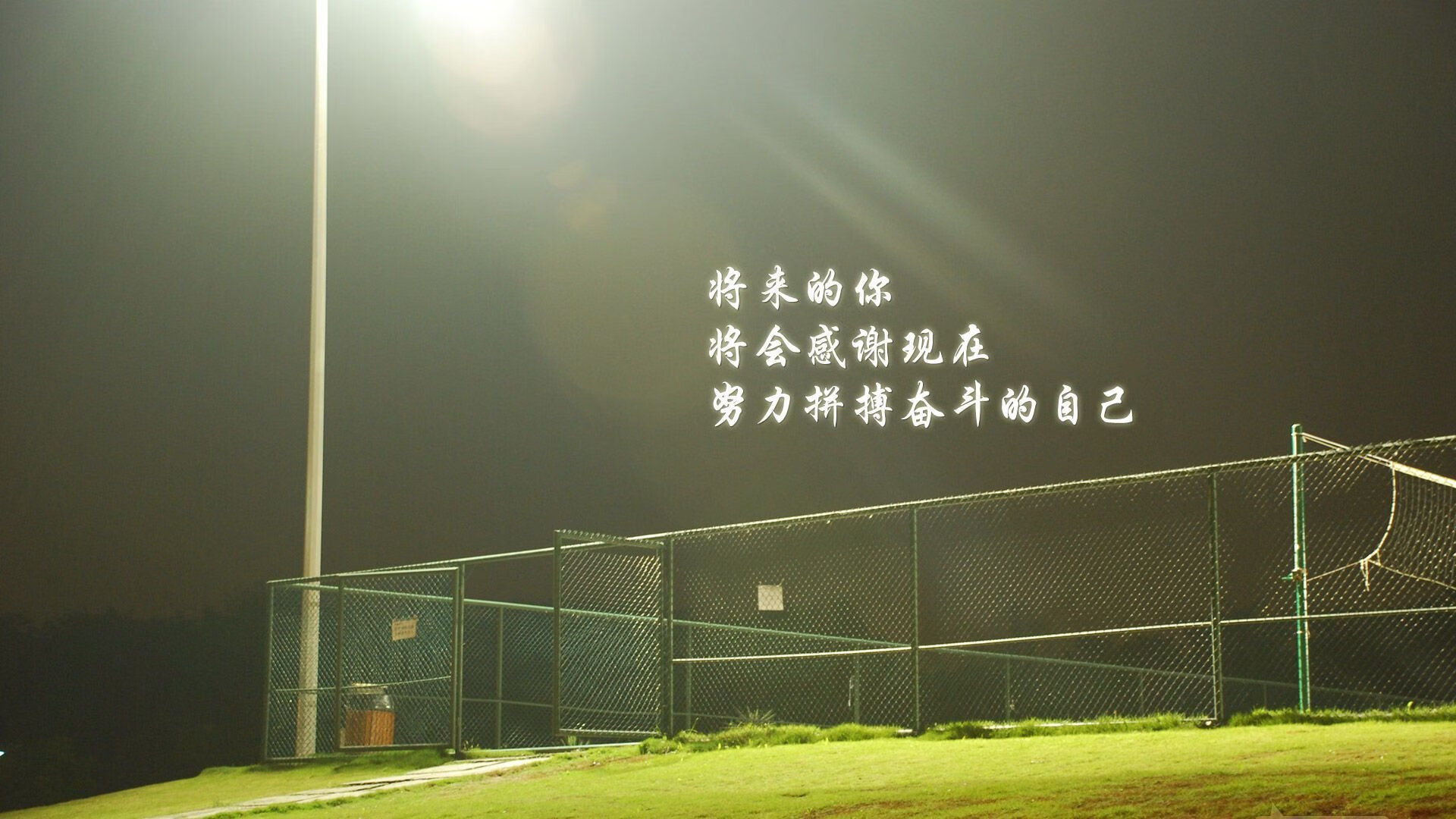独一份的颠覆,2026世界杯B组,阿联酋的沙漠奇谋与坎塞洛的右路王国